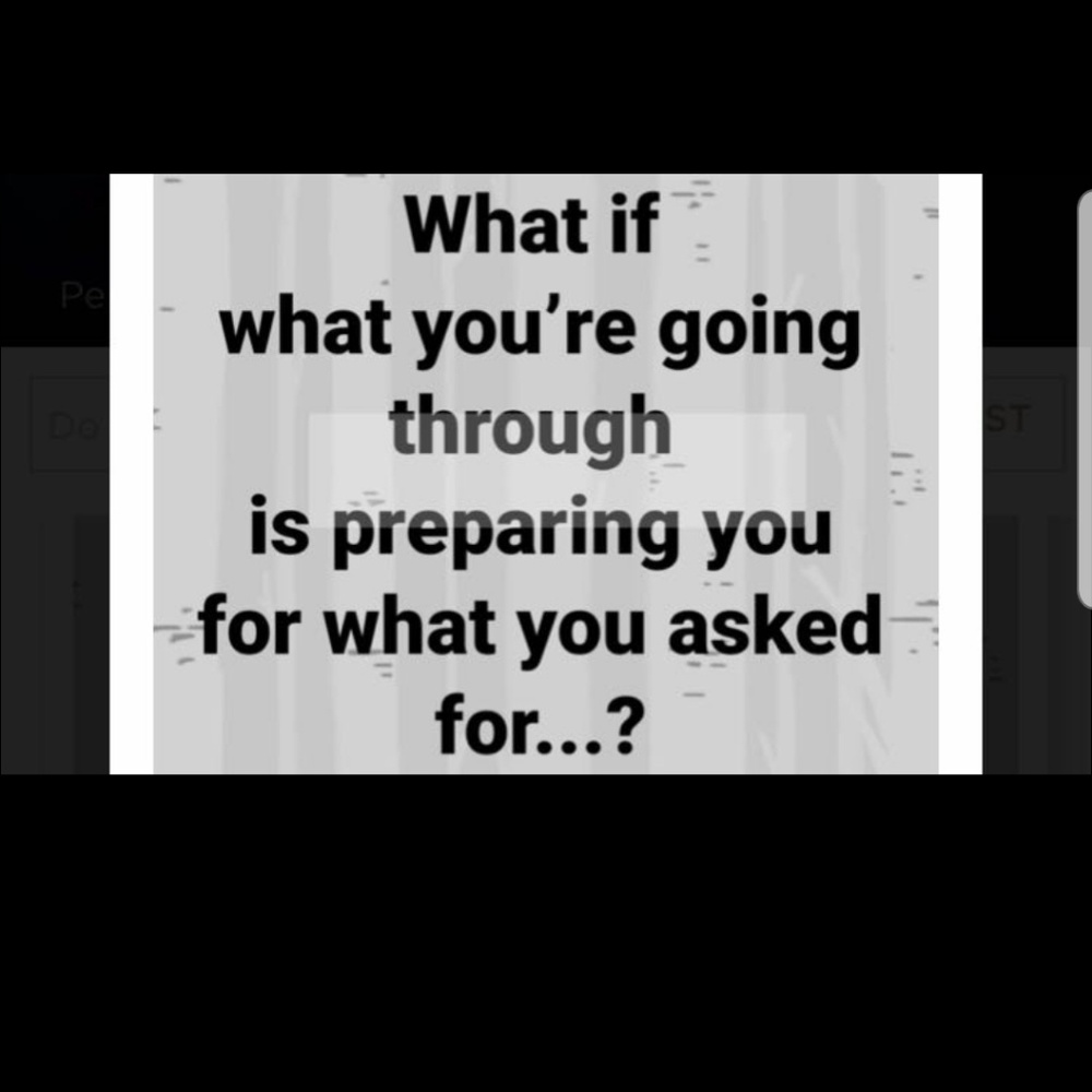 Meet your Posher, Donna